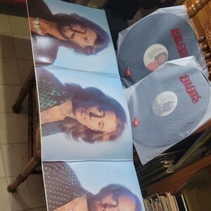 1979~Bee Gees Vinyl Record Set with Album Art~ MINT